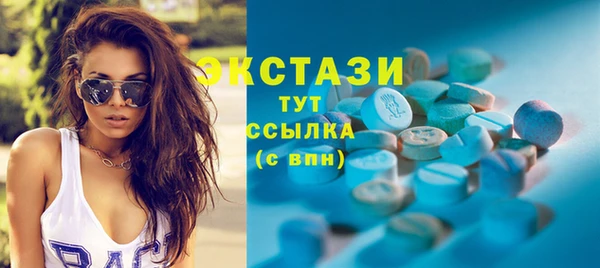 PSILOCYBIN Ельня