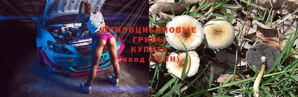 мяу мяу мука Елабуга
