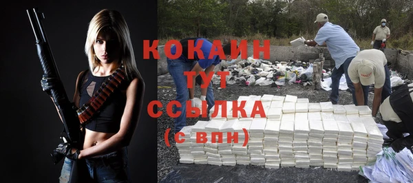 мяу мяу мука Елабуга
