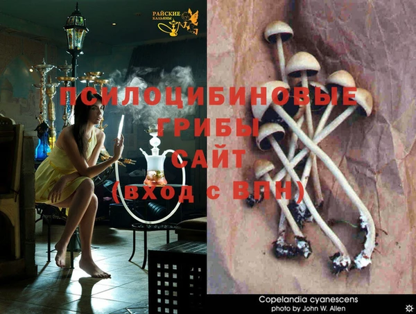 PSILOCYBIN Ельня