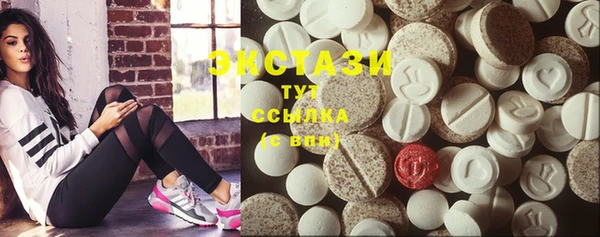 PSILOCYBIN Ельня