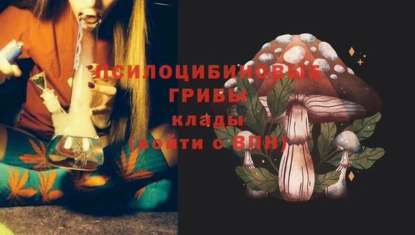 мяу мяу мука Елабуга