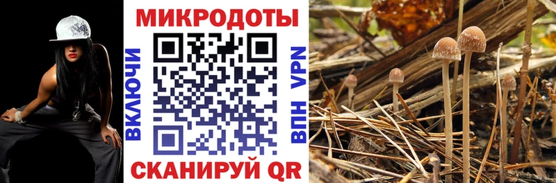 Псилоцибиновые грибы Magic Shrooms  купить наркотики сайты  Злынка 